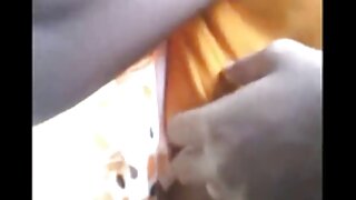 تنگ ایشیائی بلی بس م ...