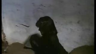 پول کے قریب بکنی میں ...